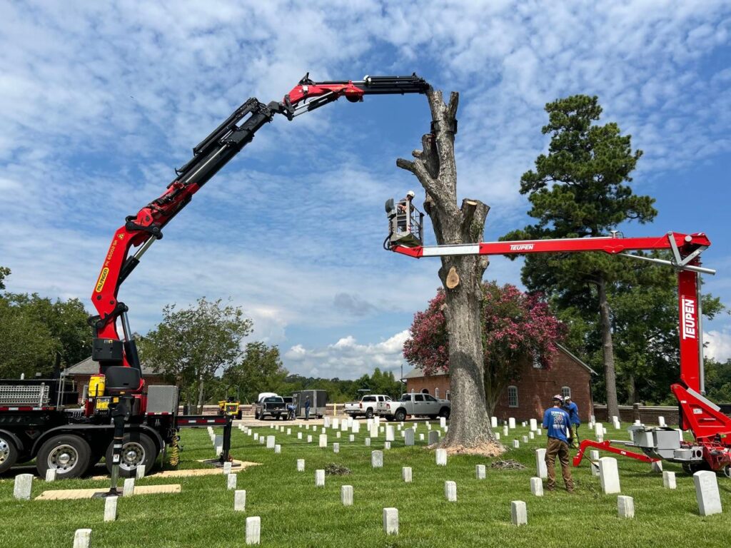 Tree Care & Grounds Maintenance